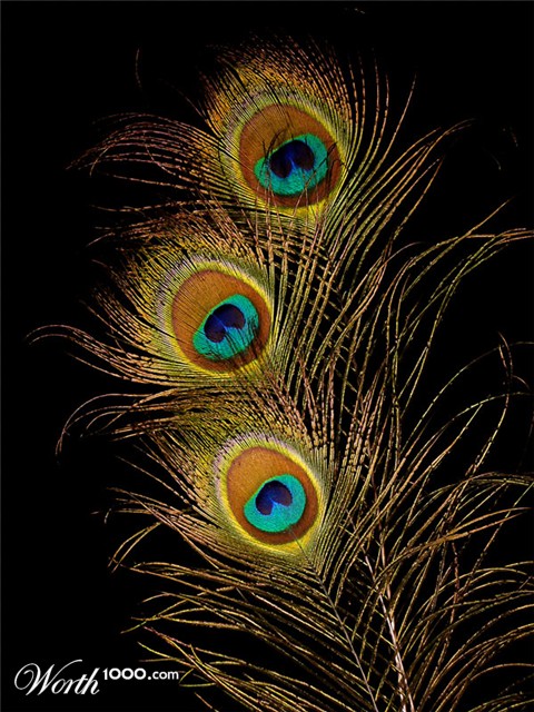 Photography by IsleofJura