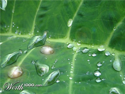 Photoshop Design by dilipwith