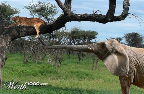 Photoshop Design by scsonka