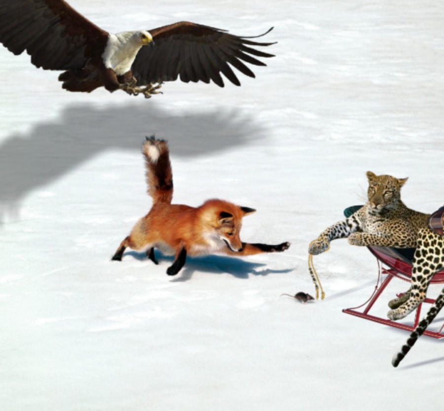 Photoshop Design by Fishwife for DesignCrowd (Community Contests) | Design #8997489