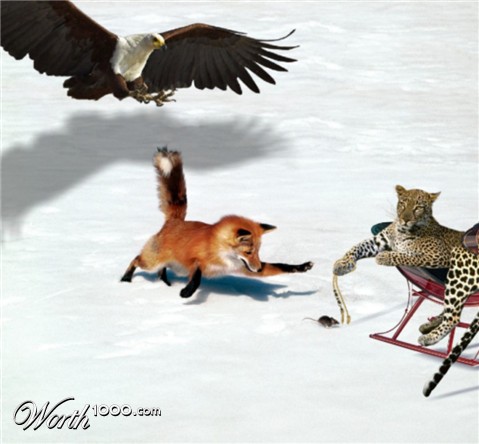 Photoshop Design by Fishwife