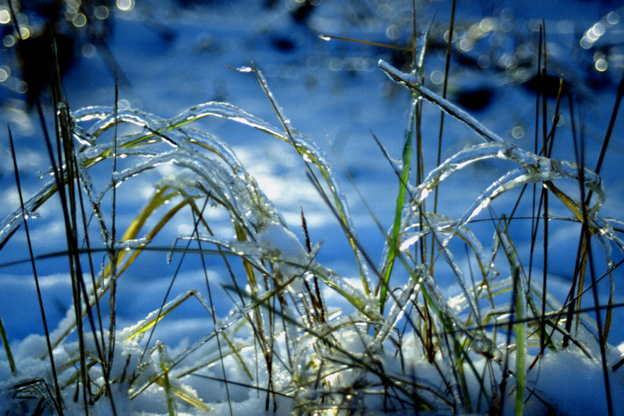 Fotografía por Bastet para DesignCrowd (Community Contests) | Diseño #8998523