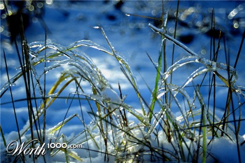 Photography by Bastet