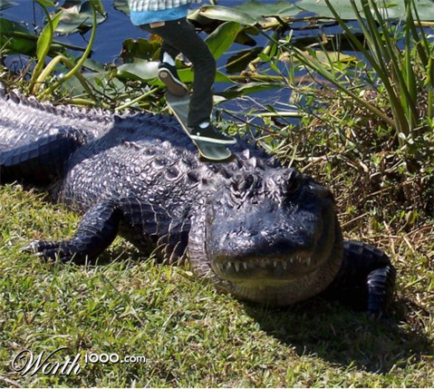 Photoshop Design by Razieluk