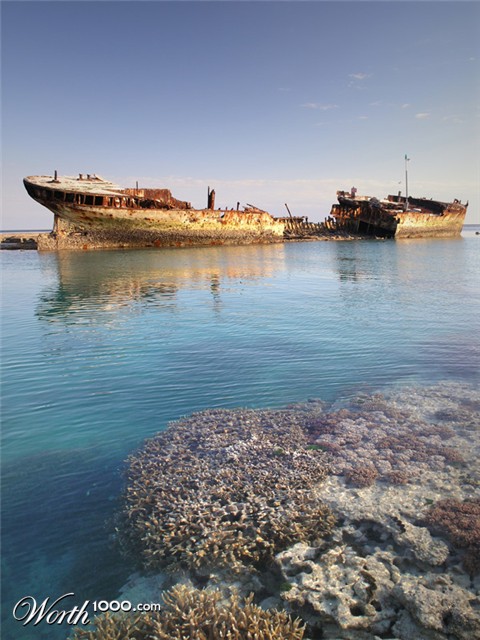 Photography by octopulse