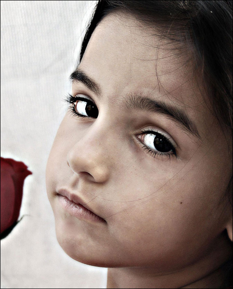 Photography by Evelyn7 for DesignCrowd (Community Contests) | Design #8997443
