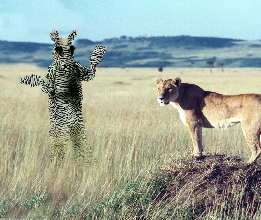 Photoshop Design by bacarrat for DesignCrowd (Community Contests) | Design #8997550