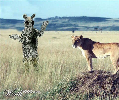 Photoshop Design by bacarrat