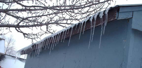 Photography by zipper20044 for DesignCrowd (Community Contests) | Design #8998526