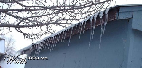 Photography by zipper20044