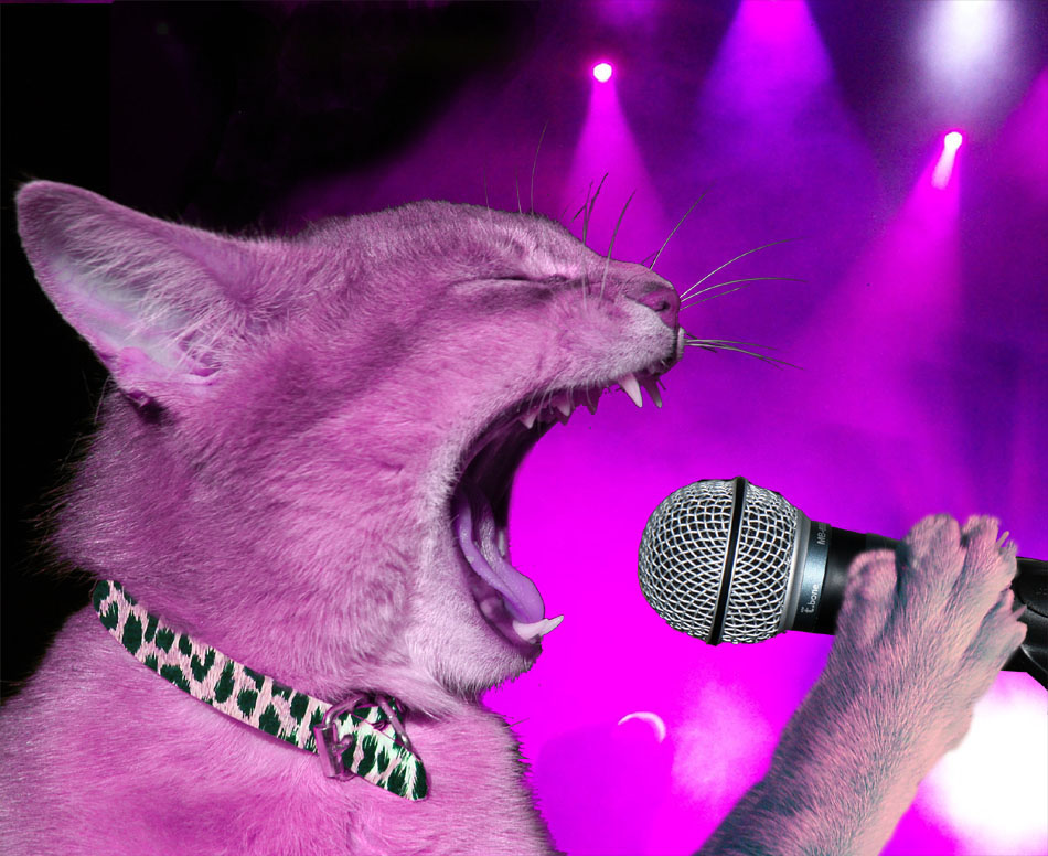 Photoshop Design by scsonka for DesignCrowd (Community Contests) | Design #8999013