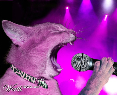 Photoshop Design by scsonka