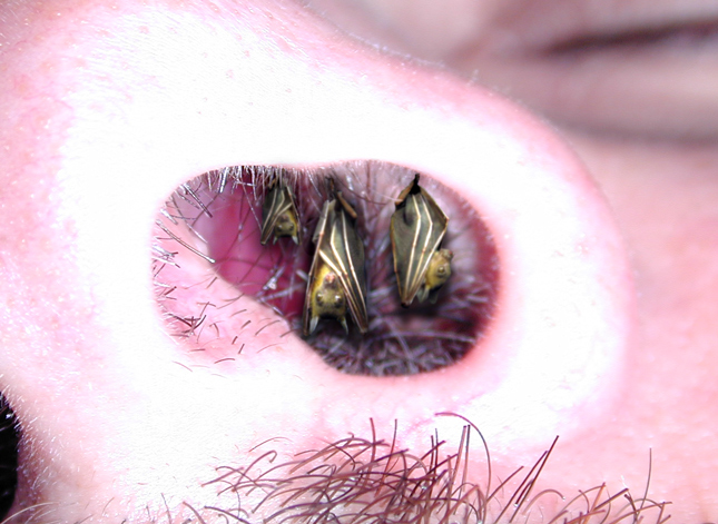 Photoshop Design by argosaries for DesignCrowd (Community Contests) | Design #8999017