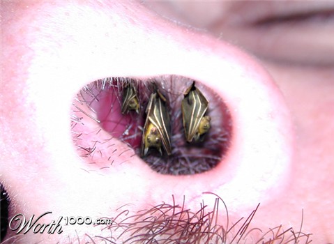 Photoshop Design by argosaries