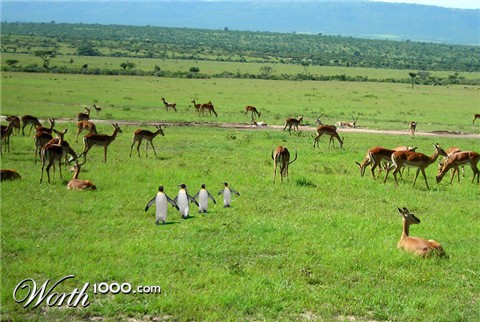 Photoshop Design by eccehobo