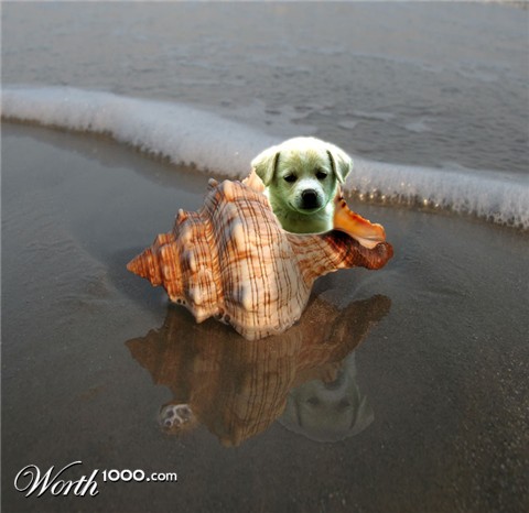 Photoshop Design by rajeshsharma