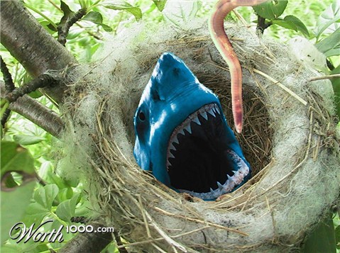 Photoshop Design by ilovehorror