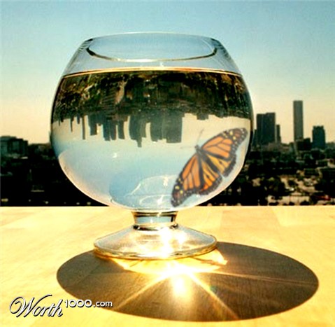 Photoshop Design by dolphinCEO