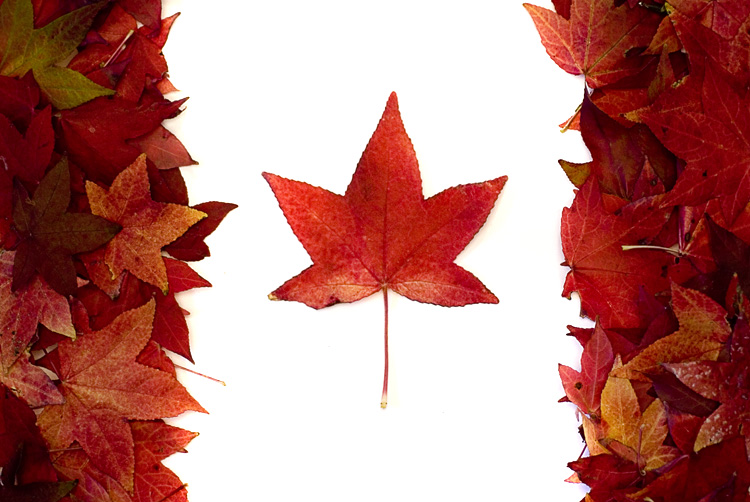 Fotografía por Marian para DesignCrowd (Community Contests) | Diseño #9002303