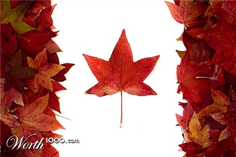 Photography by Marian