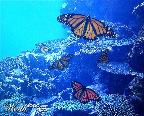 Photoshop Design by Telmereth