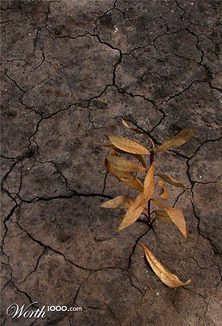 Photography by Ituzum