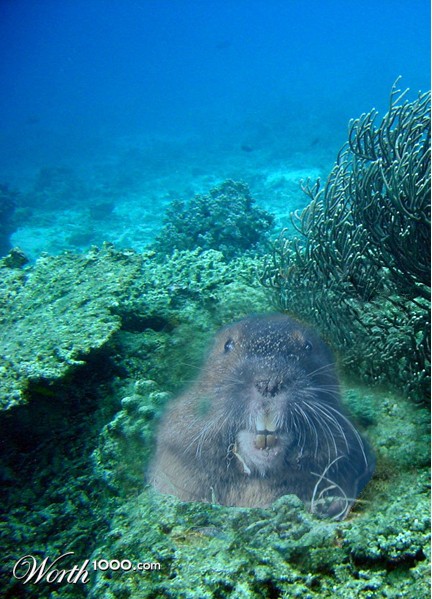 Photoshop Design by drakyssej