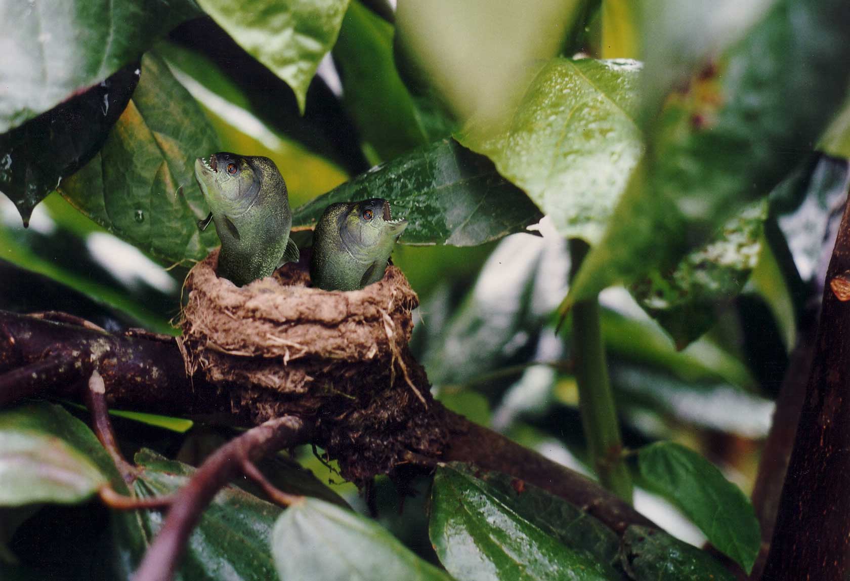 Design Photoshop par supertom12 pour DesignCrowd (Community Contests) | Design #8999070