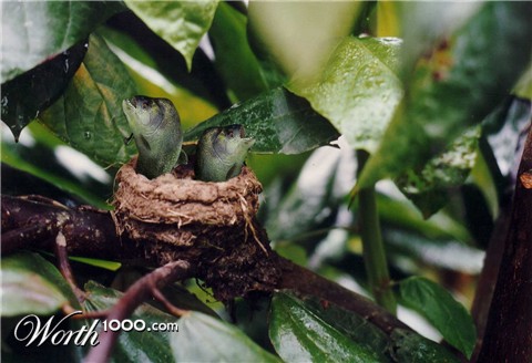 Photoshop Design by supertom12