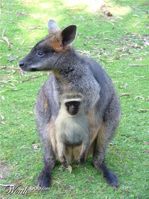 Photoshop Design by refab999