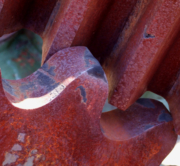 Photography by EyEars for DesignCrowd (Community Contests) | Design #9001958