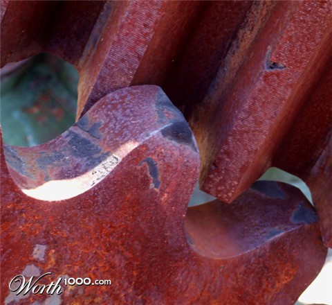 Photography by EyEars