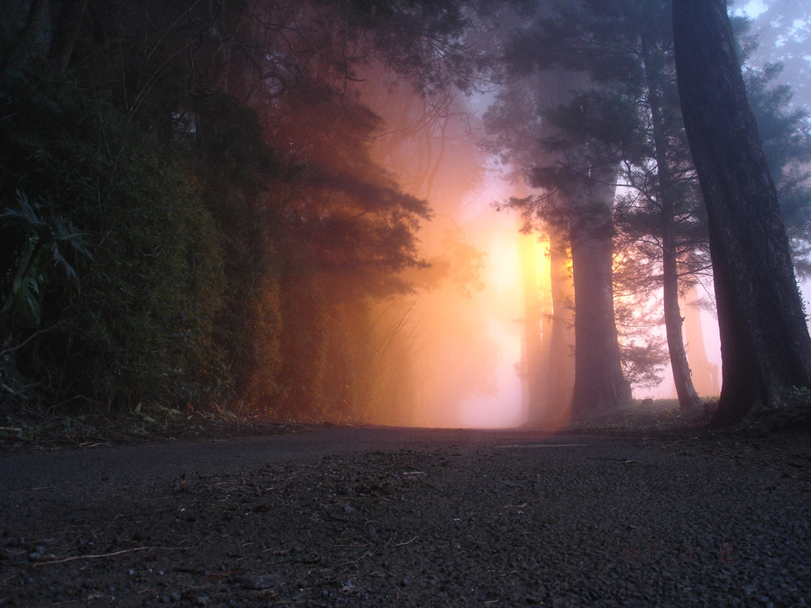 Fotografía por rworth1000cr para DesignCrowd (Community Contests) | Diseño #8998573