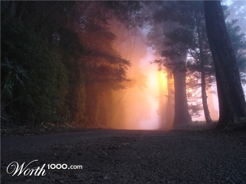 Photography by rworth1000cr