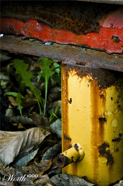 Photography by LaylaBlue