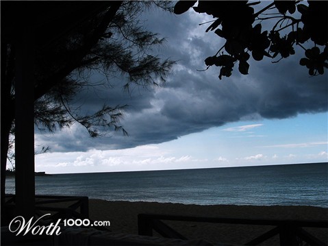 Photography by npjohnson