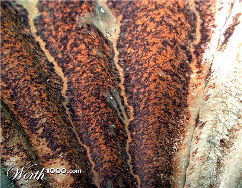 Photography by rexybaby