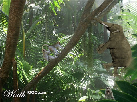 Photoshop Design by Boomerdog