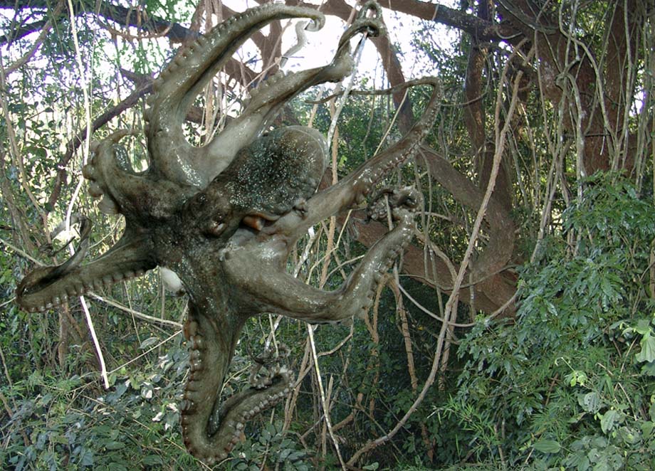 Photoshop Design by LeonardoSJC for DesignCrowd (Community Contests) | Design #8999112