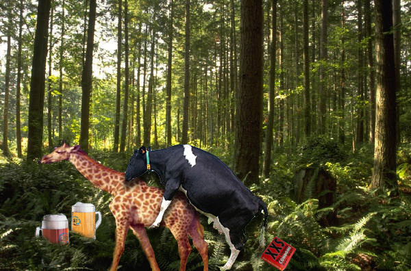 Photoshop Design by clavia for DesignCrowd (Community Contests) | Design #8999168