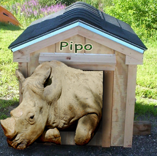 Photoshop Design by Moni19 for DesignCrowd (Community Contests) | Design #8999159