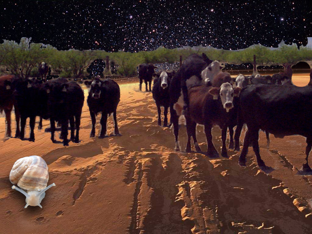 Photoshop Design by elrusofrio for DesignCrowd (Community Contests) | Design #8999139