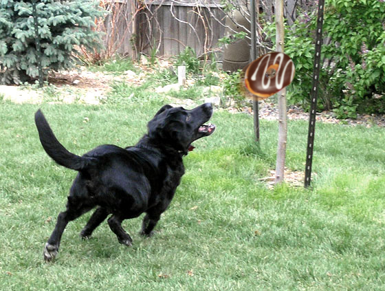 Design Photoshop par didiblum pour DesignCrowd (Community Contests) | Design #8998911