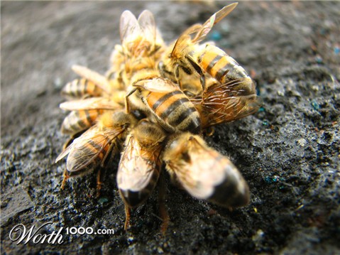 Photography by arquiwhat