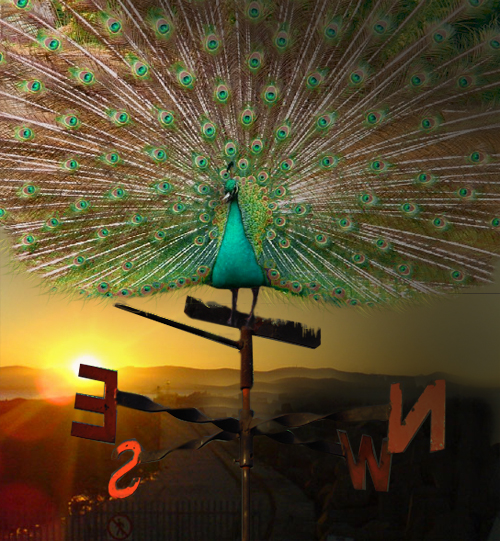 Photoshop Design by rupali611 for DesignCrowd (Community Contests) | Design #8999086