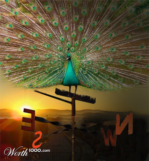 Photoshop Design by rupali611