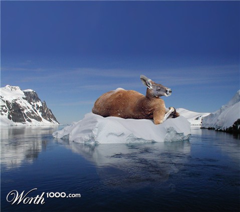 Photoshop Design by AlexNevsky