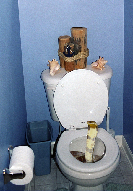 Diseño de Photoshop por got3dbry para DesignCrowd (Community Contests) | Diseño #8999186