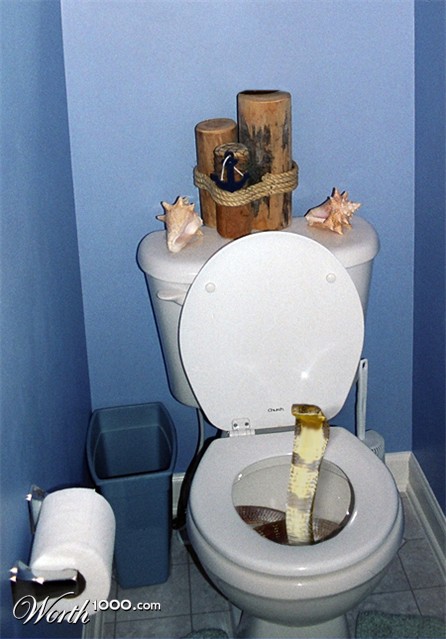 Photoshop Design by got3dbry