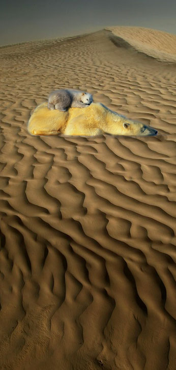 Diseño de Photoshop por bennyandthemets para DesignCrowd (Community Contests) | Diseño #8999195